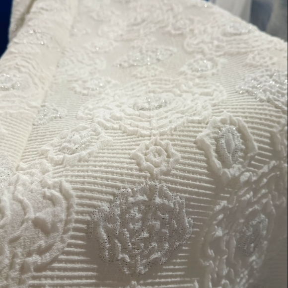 Sera Fina Women Crepe Puff White Silver Thread Eyelets Midi Skirt Size 24 *New* - Picture 6 of 8